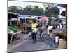 Fruit and Vegetable Market at Scarborough, Tobago, West Indies, Caribbean, Central America-Yadid Levy-Mounted Photographic Print