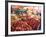 Fruit and Vegetable Market, Pula, Istria Coast, Croatia-Christian Kober-Framed Photographic Print