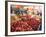 Fruit and Vegetable Market, Pula, Istria Coast, Croatia-Christian Kober-Framed Photographic Print