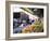 Fruit and Vegetable Stall, China Town, Manhattan, New York, New York State, USA-Yadid Levy-Framed Photographic Print