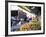 Fruit and Vegetable Stall, China Town, Manhattan, New York, New York State, USA-Yadid Levy-Framed Photographic Print