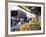 Fruit and Vegetable Stall, China Town, Manhattan, New York, New York State, USA-Yadid Levy-Framed Photographic Print