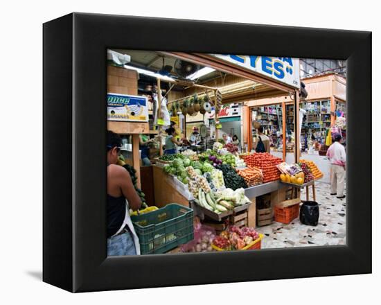 Fruit and Vegetable Stand in the Central Market, Mazatlan, Mexico-Charles Sleicher-Framed Premier Image Canvas