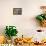 Fruit and Vegetable Stand in the Central Market, Mazatlan, Mexico-Charles Sleicher-Framed Premier Image Canvas displayed on a wall