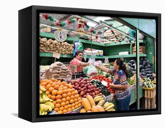 Fruit and Vegetable Stand in the Central Market, Mazatlan, Mexico-Charles Sleicher-Framed Premier Image Canvas