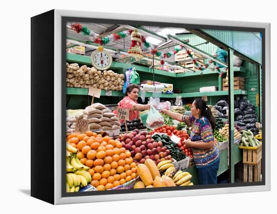 Fruit and Vegetable Stand in the Central Market, Mazatlan, Mexico-Charles Sleicher-Framed Premier Image Canvas