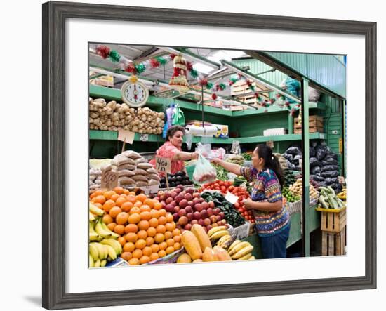 Fruit and Vegetable Stand in the Central Market, Mazatlan, Mexico-Charles Sleicher-Framed Photographic Print