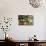 Fruit and Vegetables for Sale in Logrono Covered Market, La Rioja, Spain, Europe-Martin Child-Photographic Print displayed on a wall