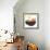 Fruit Bowl I-Emily Navas-Framed Art Print displayed on a wall