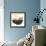 Fruit Bowl I-Emily Navas-Framed Art Print displayed on a wall