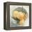 Fruit Bowl I-null-Framed Stretched Canvas