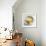 Fruit Bowl I-null-Framed Premium Giclee Print displayed on a wall