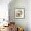 Fruit Bowl I-null-Framed Art Print displayed on a wall