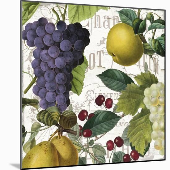 Fruit Bowl I-Color Bakery-Mounted Giclee Print