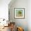 Fruit Bowl II-Dale Payson-Framed Premium Giclee Print displayed on a wall