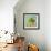 Fruit Bowl II-Dale Payson-Framed Premium Giclee Print displayed on a wall