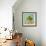 Fruit Bowl II-Dale Payson-Framed Giclee Print displayed on a wall