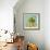 Fruit Bowl II-Dale Payson-Framed Giclee Print displayed on a wall