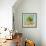 Fruit Bowl II-Dale Payson-Framed Giclee Print displayed on a wall