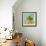 Fruit Bowl II-Dale Payson-Framed Giclee Print displayed on a wall