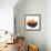 Fruit Bowl II-Emily Navas-Framed Art Print displayed on a wall