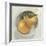 Fruit Bowl II-null-Framed Art Print