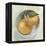 Fruit Bowl II-null-Framed Stretched Canvas