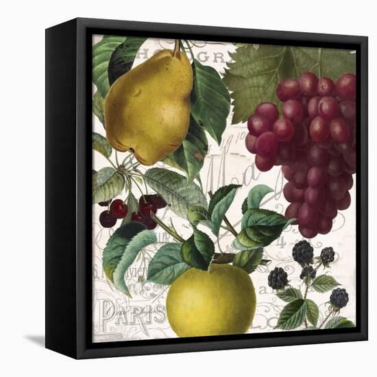 Fruit Bowl II-Color Bakery-Framed Premier Image Canvas