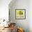 Fruit Bowl IV-Dale Payson-Framed Giclee Print displayed on a wall