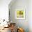 Fruit Bowl IV-Dale Payson-Framed Giclee Print displayed on a wall