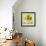 Fruit Bowl IV-Dale Payson-Framed Giclee Print displayed on a wall