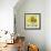 Fruit Bowl IV-Dale Payson-Framed Giclee Print displayed on a wall