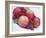 Fruit Bowl with Red Plums and Raspberries-Linda Burgess-Framed Photographic Print