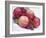 Fruit Bowl with Red Plums and Raspberries-Linda Burgess-Framed Photographic Print