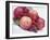 Fruit Bowl with Red Plums and Raspberries-Linda Burgess-Framed Photographic Print