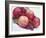 Fruit Bowl with Red Plums and Raspberries-Linda Burgess-Framed Photographic Print