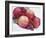 Fruit Bowl with Red Plums and Raspberries-Linda Burgess-Framed Photographic Print