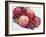 Fruit Bowl with Red Plums and Raspberries-Linda Burgess-Framed Photographic Print