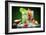 Fruit Cocktail With Dark Background-Jag_cz-Framed Photographic Print