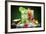 Fruit Cocktail With Dark Background-Jag_cz-Framed Photographic Print