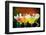 Fruit Cocktails On Black Background-Kesu01-Framed Photographic Print