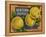 Fruit Crate Labels: Newtown Pippins; Davidson Fruit Company-null-Framed Stretched Canvas