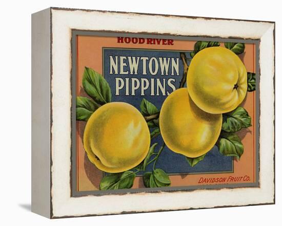 Fruit Crate Labels: Newtown Pippins; Davidson Fruit Company-null-Framed Stretched Canvas