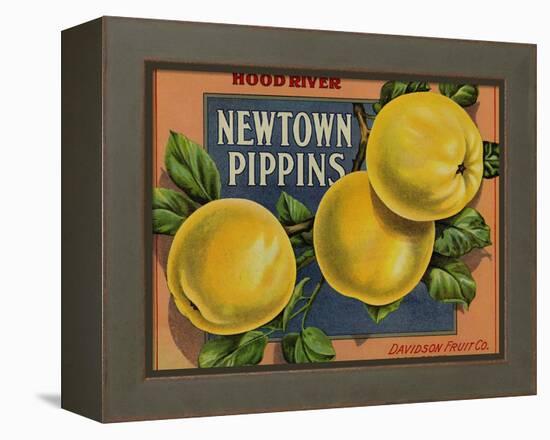 Fruit Crate Labels: Newtown Pippins; Davidson Fruit Company-null-Framed Stretched Canvas