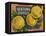 Fruit Crate Labels: Newtown Pippins; Davidson Fruit Company-null-Framed Stretched Canvas