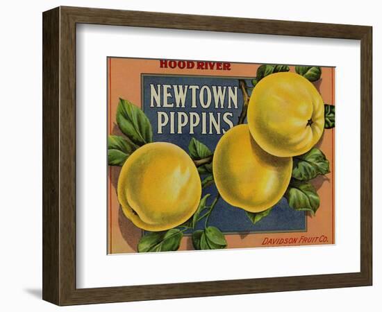 Fruit Crate Labels: Newtown Pippins; Davidson Fruit Company-null-Framed Art Print