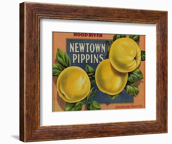 Fruit Crate Labels: Newtown Pippins; Davidson Fruit Company-null-Framed Art Print