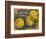 Fruit Crate Labels: Newtown Pippins; Davidson Fruit Company-null-Framed Art Print