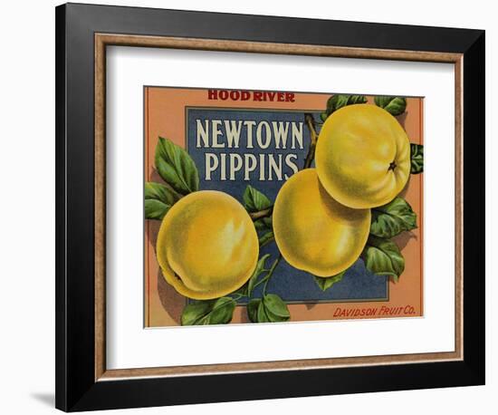 Fruit Crate Labels: Newtown Pippins; Davidson Fruit Company-null-Framed Art Print