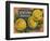 Fruit Crate Labels: Newtown Pippins; Davidson Fruit Company-null-Framed Art Print